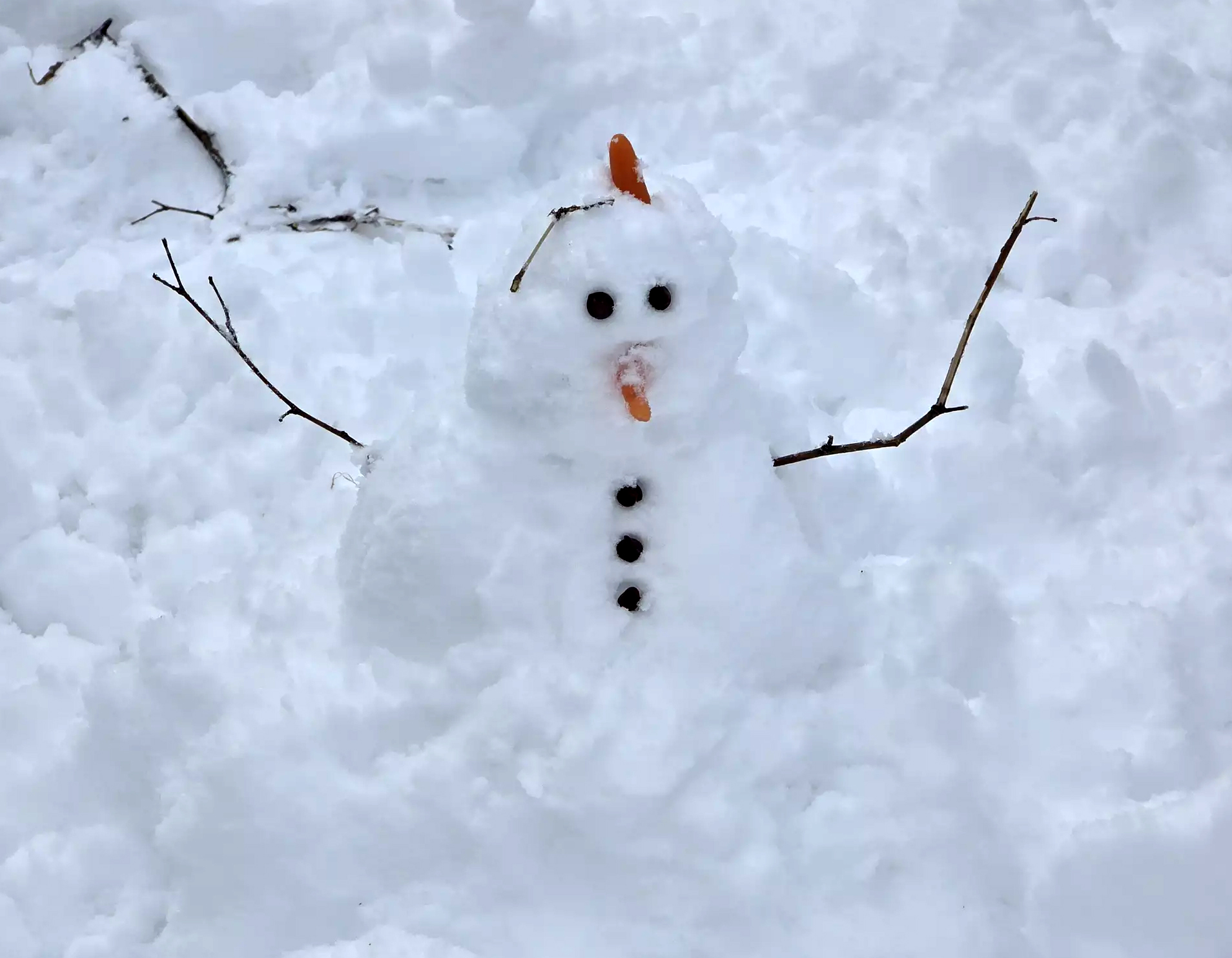 A mini snowman built in a Clark Township (Union County) front lawn following the December 13th-14th snowfall. Photo courtesy of Dan Zarrow.