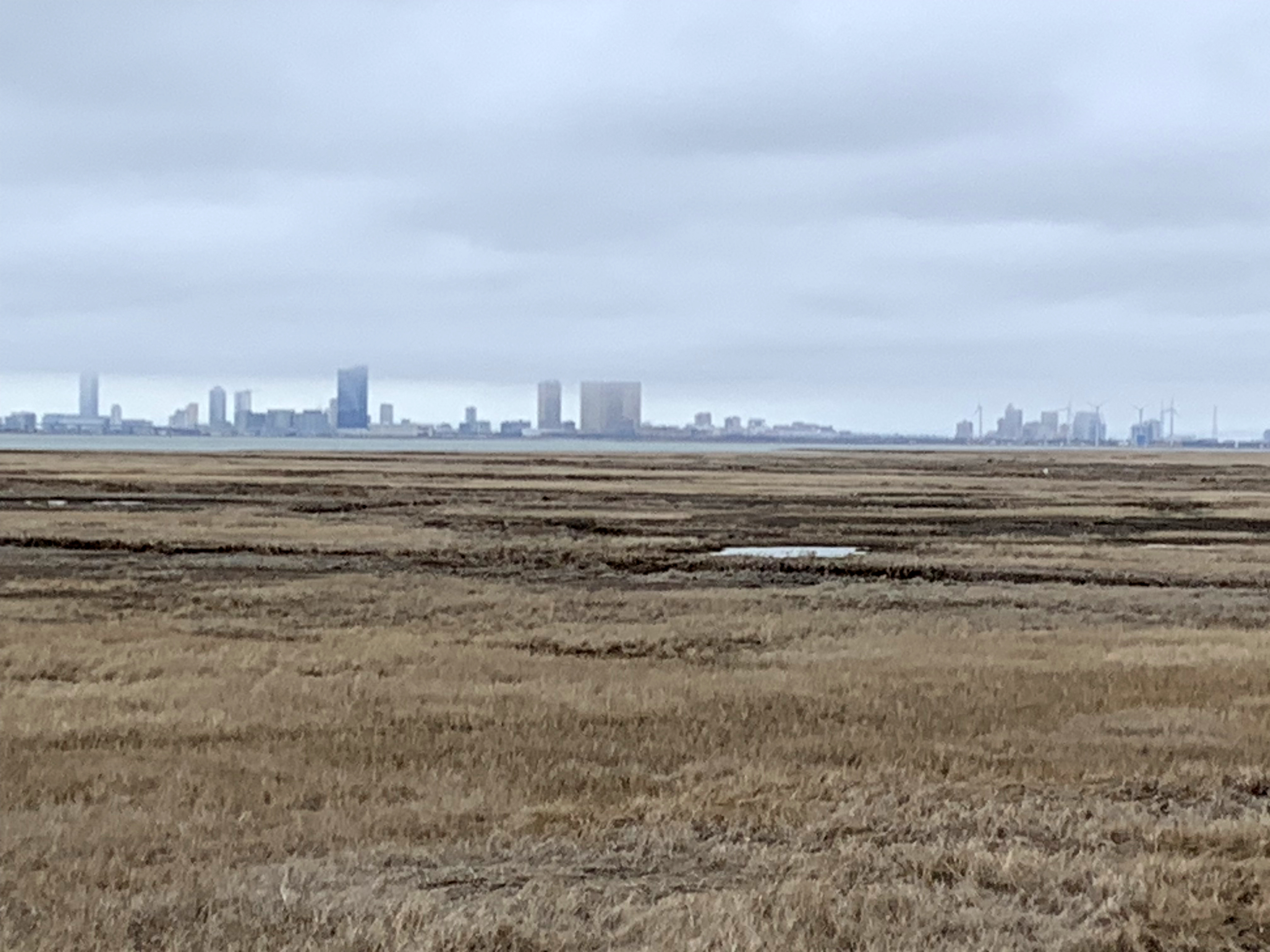 Low clouds hover over Atlantic City as seen from the Forsythe Wildlife Refuge in Galloway Township (Atlantic County) on March 6th. Photo by Dave Robinson.