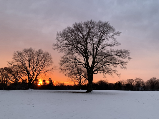 Sunset at Colonial Park in Franklin Township (Somerset County) on February 15th (photo by Dave Robinson).