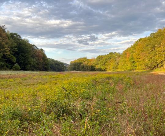A dry Oak Ridge Reservoir along the Sussex/Morris County border on September 15th when the area was classified in "Moderate Drought" category. Photo courtesy of Alex Burdi.