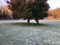 Frost photo