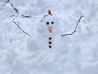 A mini snowman built in a Clark Township (Union County) front lawn following the December 13th-14th snowfall. Photo courtesy of Dan Zarrow.