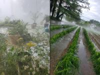 Upper Township hail on July 1st