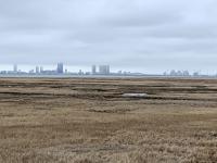 Low clouds hover over Atlantic City as seen from the Forsythe Wildlife Refuge in Galloway Township (Atlantic County) on March 6th. Photo by Dave Robinson.