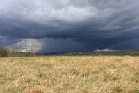 A vivid rain shaft accompanies a thunderstorm as seen from Hardyston Twp. (Sussex County) on April 15th, 2023. Photo courtesy of Yulia Karpova.