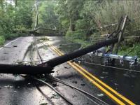 Thunderstorm wind damage in Holmdel