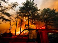 Firefighters battle the Jones Road Wildfire in Ocean County (photo courtesy of the New Jersey Department of Environmental Protection).