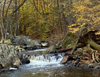 An autumnal view along the Lamington River in Hacklebarney State Park on the border of Chester Twp. and Washington Twp. (Morris County). Photo by Dave Robinson.