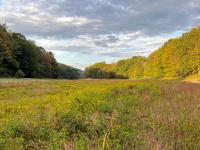 A dry Oak Ridge Reservoir along the Sussex/Morris County border on September 15th when the area was classified in "Moderate Drought" category. Photo courtesy of Alex Burdi.