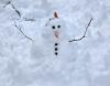 A mini snowman built in a Clark Township (Union County) front lawn following the December 13th-14th snowfall. Photo courtesy of Dan Zarrow.