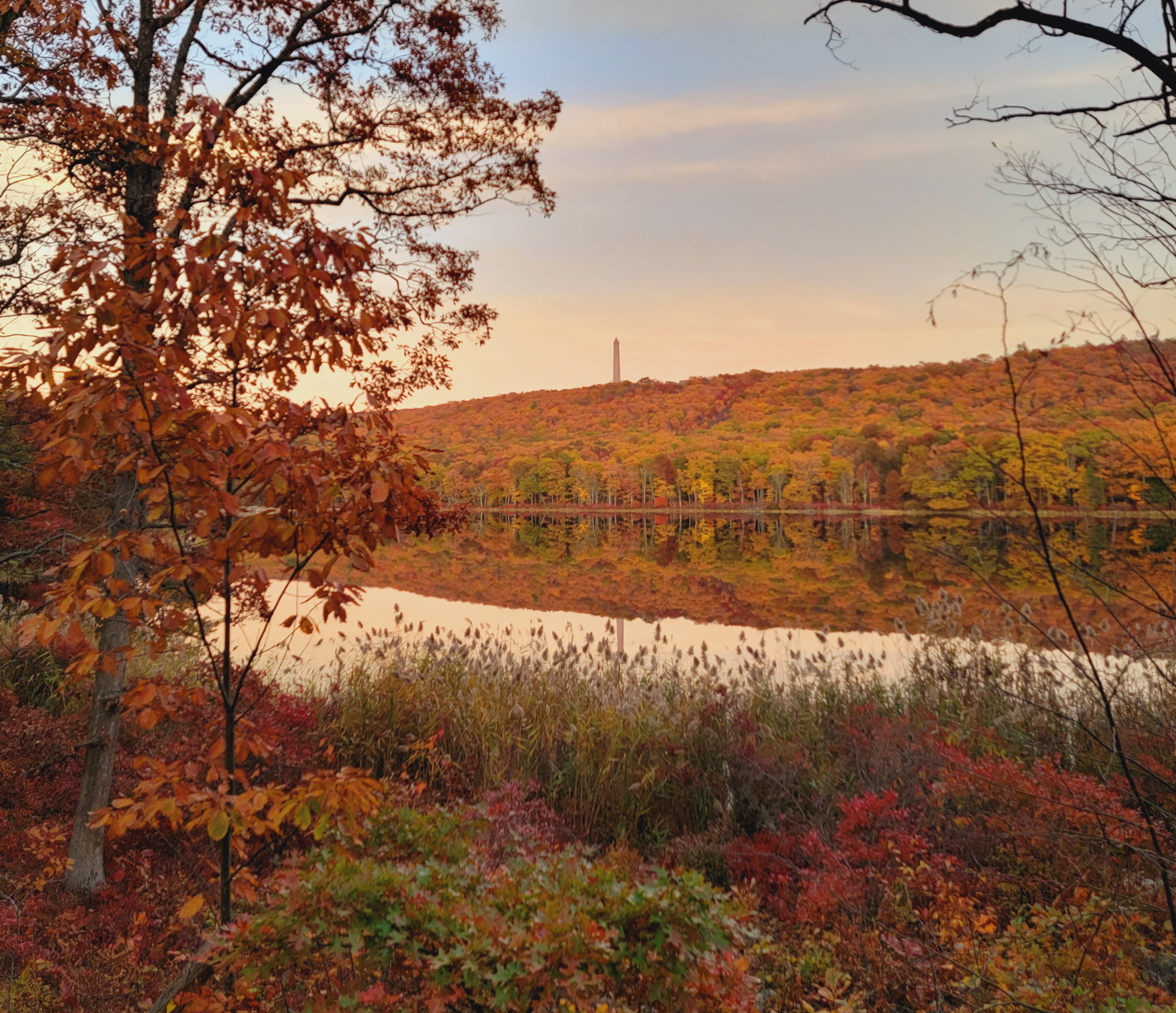 Brilliant fall foliage looking up towards High Point Monument (Sussex County) on October 22nd. Photo courtesy of Chris Stachelski.