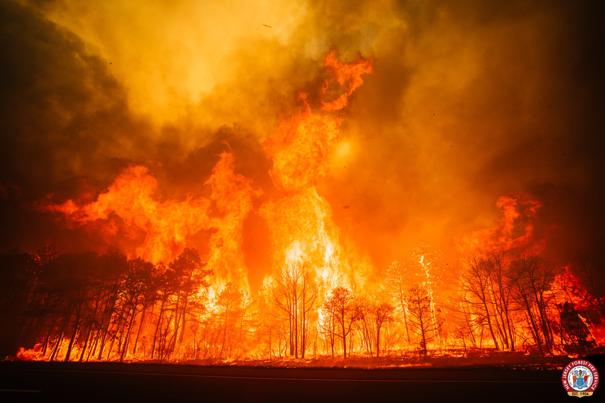 Jones Road wildfire the evening of April 22nd (courtesy of NJ Forest Fire Service).