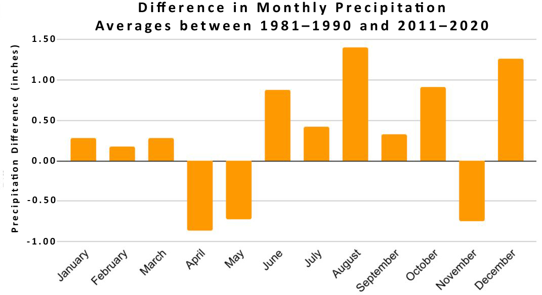 Differences in monthly precipitation averages between 1981–1990 and 2011–2020. 