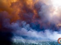 Smoke billows from a large wildfire in the Wharton State Forest around June 20th. Photo from the New Jersey Forest Fire Service.