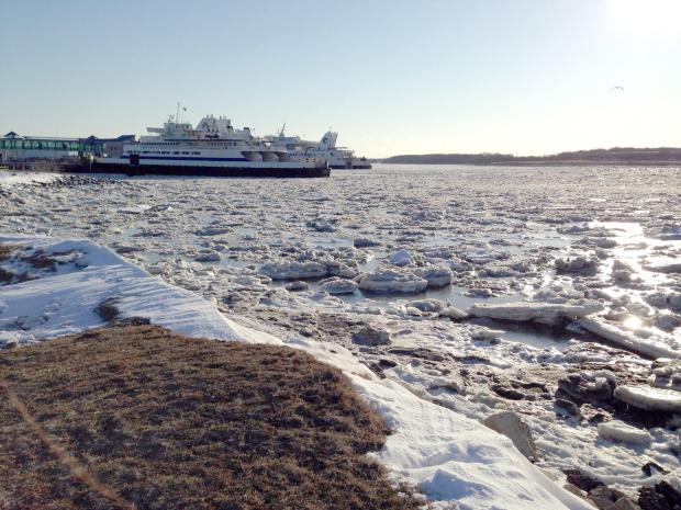 Icy Cape May