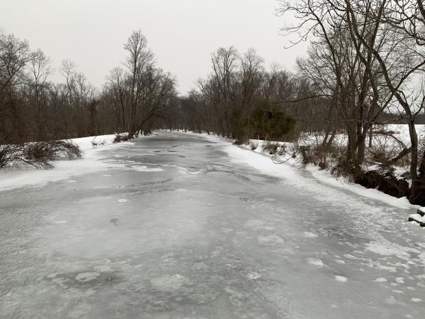 Wintry scene