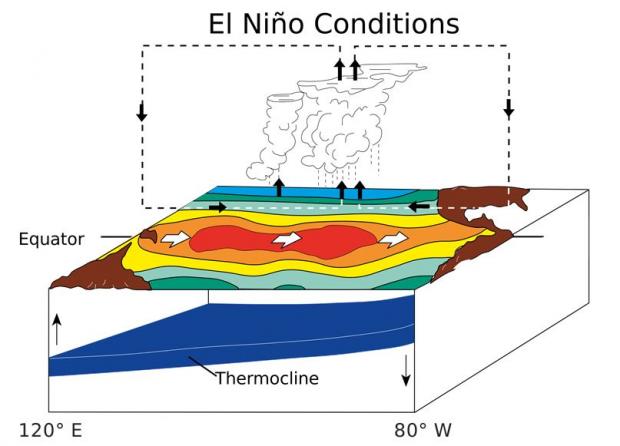 El Nino schematic