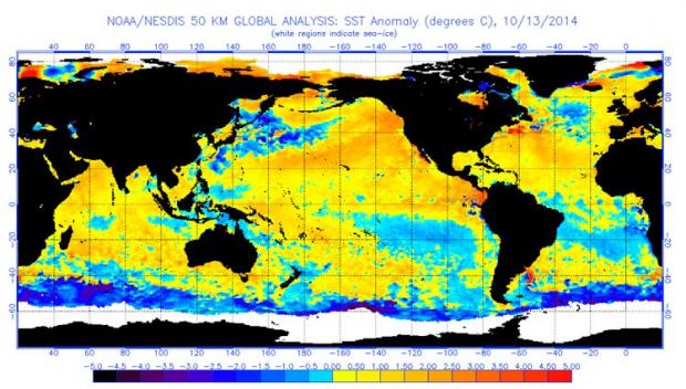 Sea Surface Temperature Anomalies