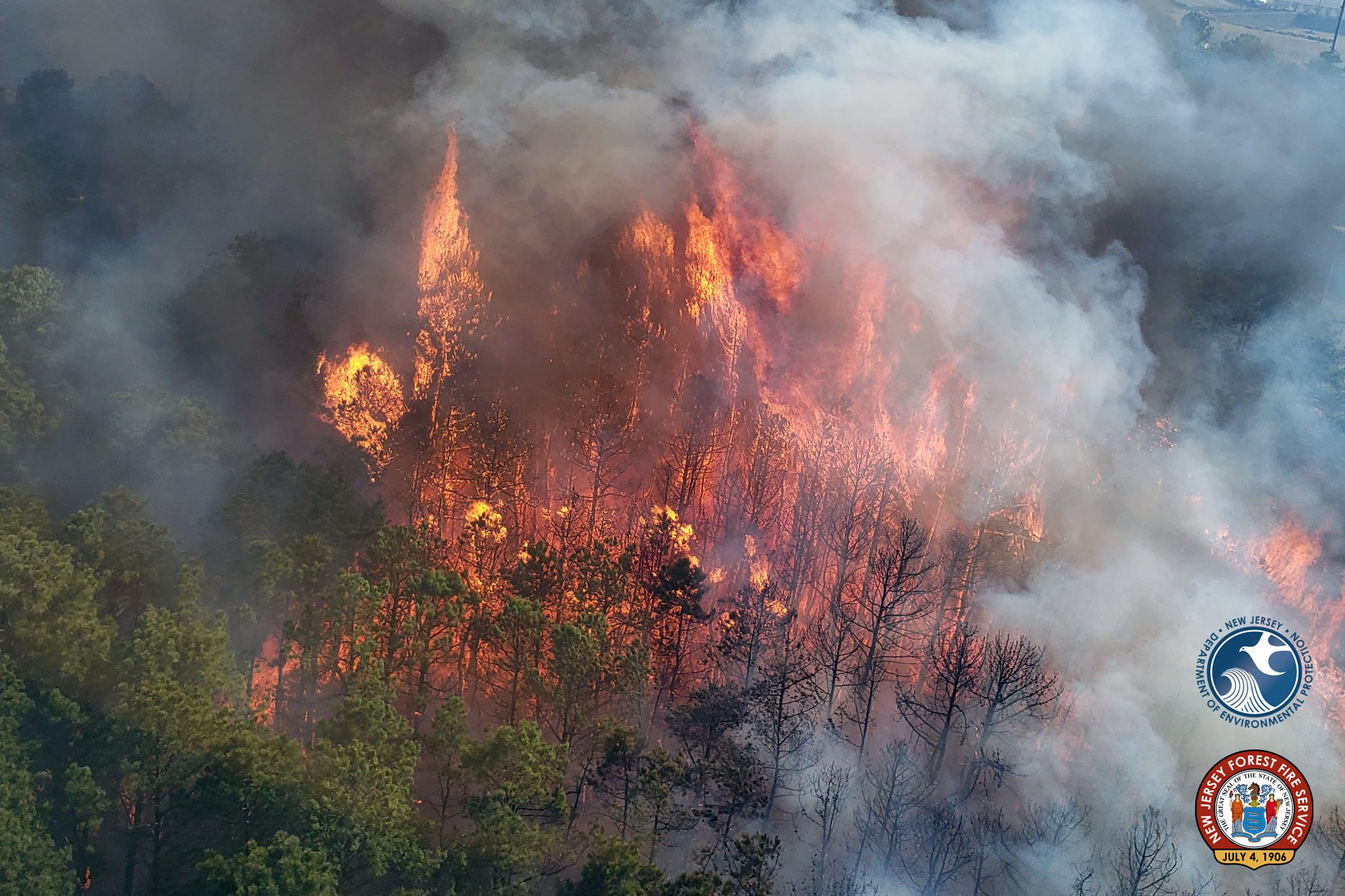 An aerial view of a wildfire in Lakewood on March 14th