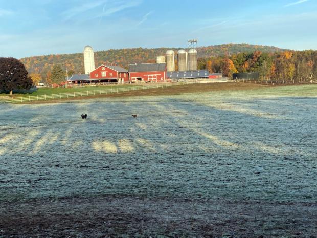 Frost-covered field in Sussex on October 18th