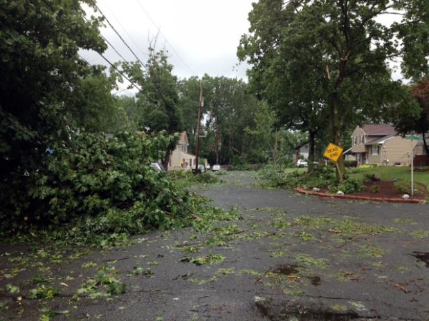 Tornado Damage in Berkeley Heights